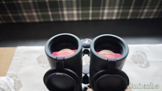 Swarovski El Range 8x42 TA