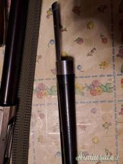 Canna Benelli Raffaello  12