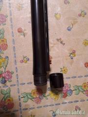 Canna Benelli Raffaello  12