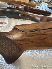 Browning UltraSX 12