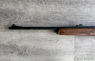 Remington 742 .308 Winchester
