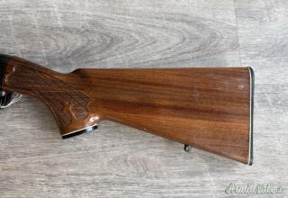 Remington 742 .308 Winchester