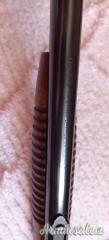 Browning Pompa  .22 Short