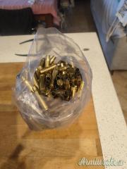 Bossoli primo sparo 308 winchester fiocchi
