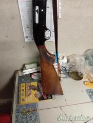 Beretta 303 12