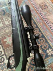 Remington 770 .243 Winchester