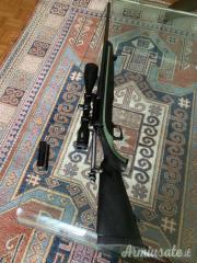 Remington 770 .243 Winchester