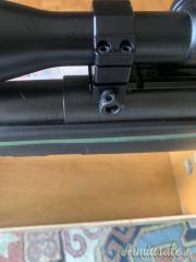 Remington 770 .243 Winchester