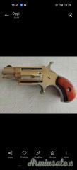 ...Altro | Non elencato NAA 22 LR .22 LR Long Rifle