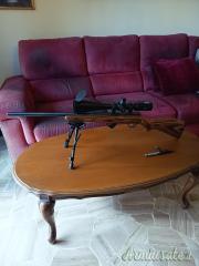 Savage MARK II .22 Long Rifle