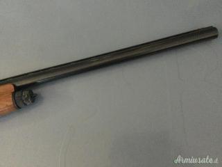 Benelli RAFFAELLO SL 12