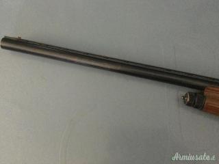Benelli RAFFAELLO SL 12