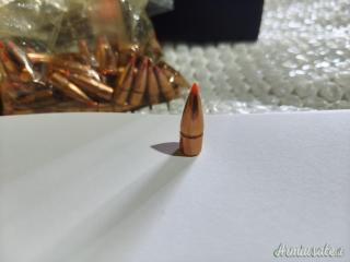 HORNADY SST 3142 Palle calibro 7,62x39.310'' 123 grani