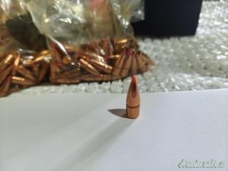 HORNADY SST 3142 Palle calibro 7,62x39.310'' 123 grani