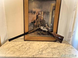 Beretta AS20EELL