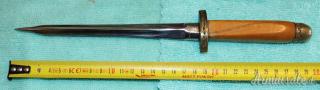 Coltello Caccia Lama Fissa