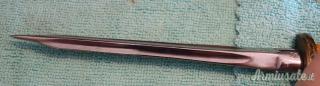 Coltello Caccia Lama Fissa