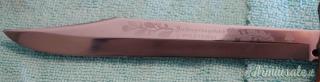 Coltello Caccia Jndiana Vintage