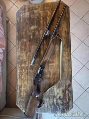Beretta 302 20