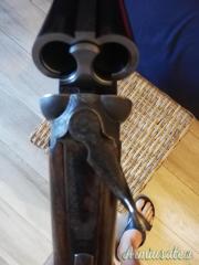 Rfm Zeus 20
