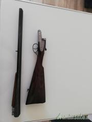 Belleri 16