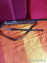 Benelli Raffaello 12
