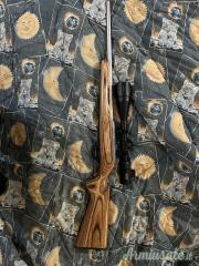 Remington 597 .22 Long Rifle