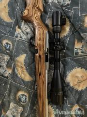 Remington 597 .22 Long Rifle