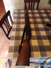 Beretta 301 12