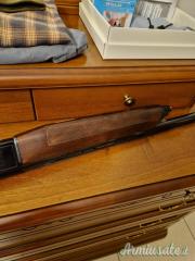 Beretta A303 12