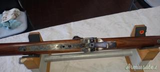 pedersoli Sharp 45/70 con diottra