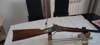 pedersoli Sharp 45/70 con diottra