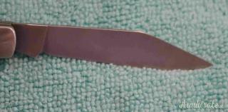 Coltello Buck 301BB Stockman Vintage