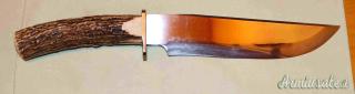 Coltello da Caccia Maestro Annibale