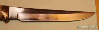 Coltello da Caccia Maestro Annibale