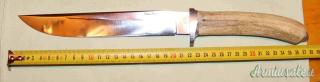 Coltello da Caccia Maestro Annibale