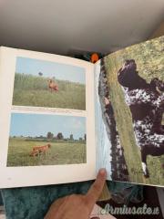 LIBRI CACCIA