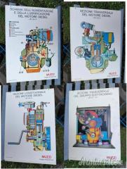 Lotto di 12 cartelli cm 50 x 70