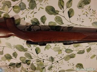 CZ | Ceska Zbrojovka 550 .243 Winchester