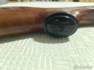 Beretta A302 12