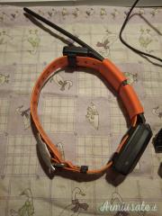 Dogtrace X20 VENDUTO