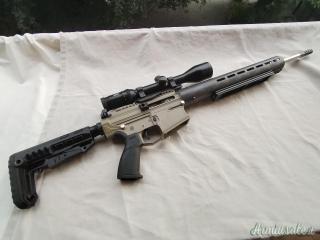 Marchio  TACTICAL 73    AR 10 .308 Winchester