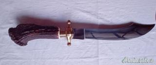 Coltello da caccia Indiana inox da esposizione manico in cervo