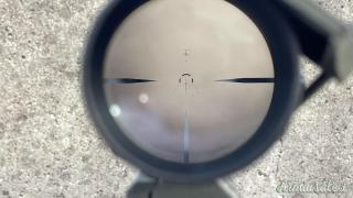 Armi Dallera Custom M5 Special force .223 Remington