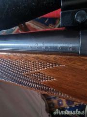 Remington 700 .22-250 Remington