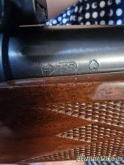 Remington 700 .22-250 Remington