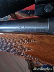 Remington 700 .22-250 Remington