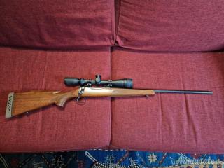 Remington 700 .22-250 Remington