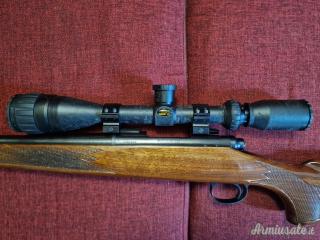 Remington 700 .22-250 Remington