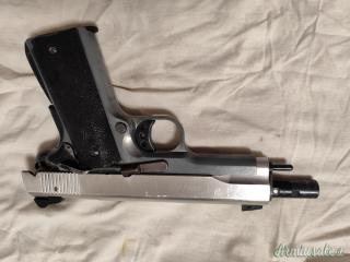 SIG-Sauer 1911 22lr .22 LR Long Rifle